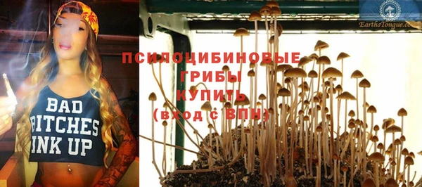 спайс Вязьма