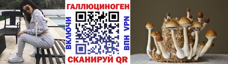 Купить закладки  Болхов  Псилоцибиновые грибы ЛСД 